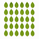 Hanboost 30pc Natural Leaf Set for Laser Engraving & DIY Crafts