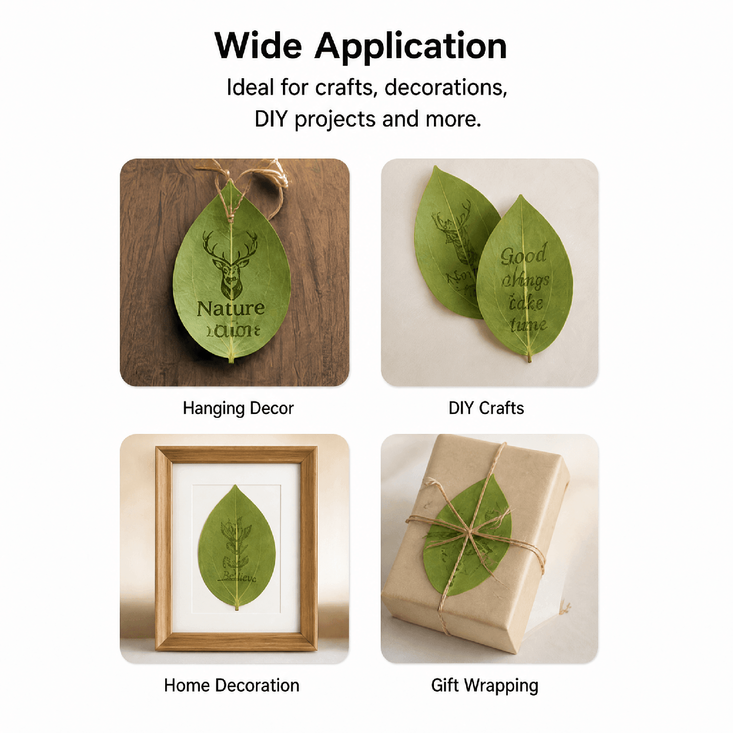 Hanboost 30pc Natural Leaf Set for Laser Engraving & DIY Crafts