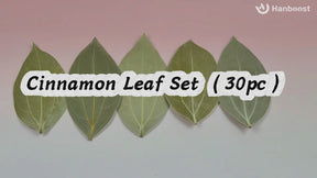 Hanboost 30pc Natural Leaf Set for Laser Engraving & DIY Crafts